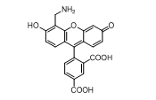 5-AMF|4’-胺甲基-5-羧基荧光素|cas326802-08-8