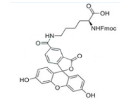 Fmoc-Lys(5-FAM)-OH,5-FAM标记的Lys赖氨酸,cas1242933-88-5