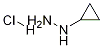 环丙基肼盐酸盐,CAS:213764-25-1