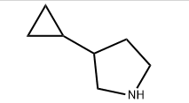 3-环丙基-吡咯烷,CAS:1250004-31-9