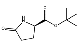 D-焦谷氨酸叔丁酯,CAS:205524-46-5