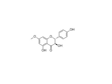 7-O-Methylaromadendrin|cas: 37971-69-0