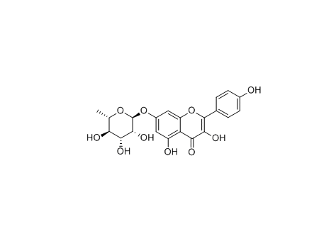 Kaempferol 7-O-rhamnoside|山奈酚-7-O-鼠李糖苷|cas:20196-89-8