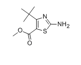 2-氨基-4-叔丁基噻唑-5-羧酸甲酯,CAS:478258-61-6