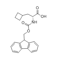 FMOC-D-环丁基丙氨酸,CAS:478183-63-0