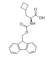FMOC-L-环丁基丙氨酸,CAS478183-62-9