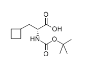 BOC-D-环丁基丙氨酸,CAS:478183-61-8