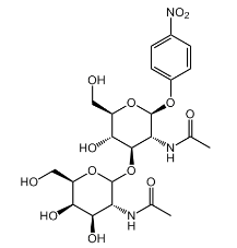 GalNAc beta(1-3)GlcNAc-beta-pNP,CAS:1456553-26-6