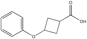 3-phenoxy-cyclobutecarboxylic acid,CAS1263284-46-3