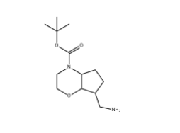 叔-丁基 7-(氨基甲基)六氢环戊二烯并[b][1,4]噁嗪-4(4aH)-甲酸基酯,CAS:1263181-32-3