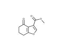 cas82584-78-9|4-氧代-4,5,6,7-四氢-1-苯并呋喃-3-羧酸甲酯