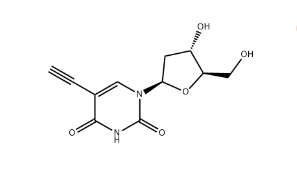 5-Ethynyl dU;5-Ethynyl-2&#039;-deoxyuridine,cas61135-33-9