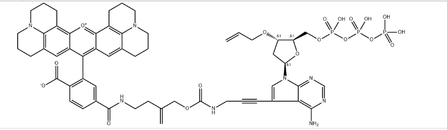 3′-O-allyl-dATP-allyl-ROX;CAS号:925915-21-5