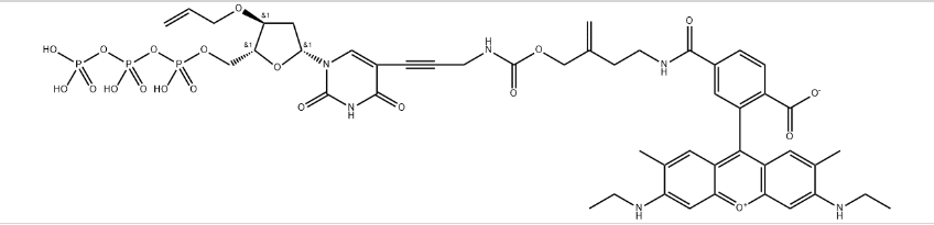 3′-O-allyl-dUTP-allyl-R6G,cas925915-15-7