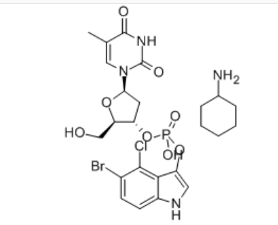 5-溴-4-氯-3-吲哚酚胸苷-3'-磷酸酯环己基铵盐,CAS号:341973-00-0