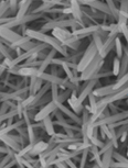 碳布/氮掺杂二氧化钛纳米杆阵列（N-TiO2）