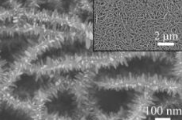 垂直石墨烯/氧化锌核壳阵列