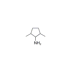 2,5二甲基-环戊胺|cas80874-82-4