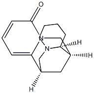 黄华碱,CAS:486-90-8