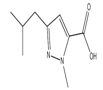 3-异丁基-1-甲基-1H-吡唑-5-羧酸,cas769132-77-6