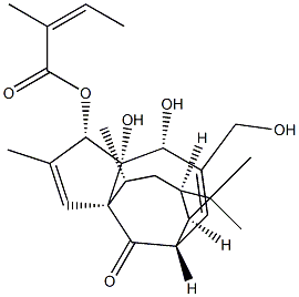 巨大戟醇-3-O-当归酸酯,CAS:75567-37-2