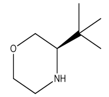 (R)-3-叔丁基吗啉，cas1286768-66-8