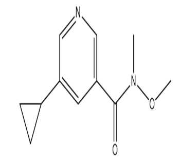 5-环丙基-N-甲氧基-N-甲基烟酰胺，cas1211589-35-3