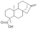 异贝壳杉烯酸,CAS:6730-83-2