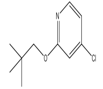 4-氯-2-(新戊氧基)吡啶，cas1346706-98-6