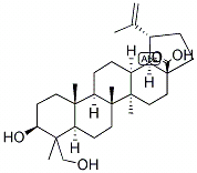 23-羟基白桦酸,CAS:85999-40-2