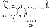 萝卜硫苷,CAS:21414-41-5