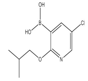 5-氯-2-(2-甲基丙氧基)吡啶-3-基硼酸，cas1217501-42-2