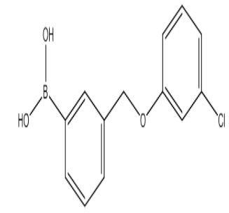 (3-((3-Chlorophenoxy)methyl)phenyl)boronic acid，cas1256358-73-2