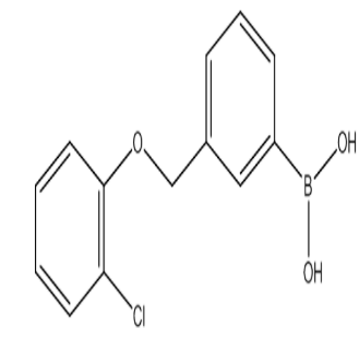 (3-((2-Chlorophenoxy)methyl)phenyl)boronic acid，cas1256358-67-4
