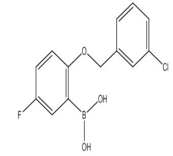 (2-((3-Chlorobenzyl)oxy)-5-fluorophenyl)boronic acid，cas1256355-83-5
