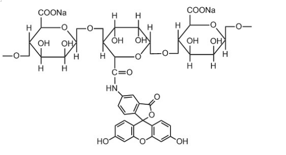 FITC-Alginate;异硫氰酸荧光素标记海藻酸钠