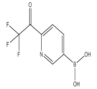 (6-(2,2,2-Trifluoroacetyl)pyridin-3-yl)boronic acid,cas1310384-03-2