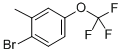 2-甲基-4-(三氟甲氧基)溴苯,cas:261951-96-6