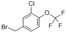 3-氯-4-三氟甲氧基苄溴,cas:261763-18-2