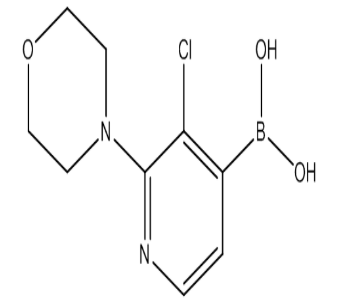 (3-Chloro-2-morpholinopyridin-4-yl)boronic acid，cas957061-04-0