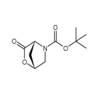 (1R,4R)-3-氧代-2-氧杂-5-氮杂双环[2.2.1]庚烷-5-羧酸叔丁酯，cas848488-70-0