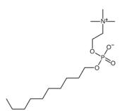 FOS-CHOLINE-10，cas70504-28-8