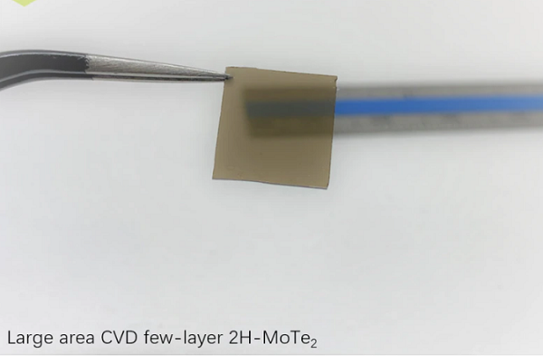 CVD-2H-MoTe2全覆盖连续薄膜