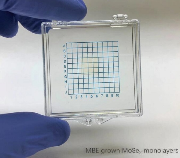 CVD-MBE-MoSe2三角形单晶