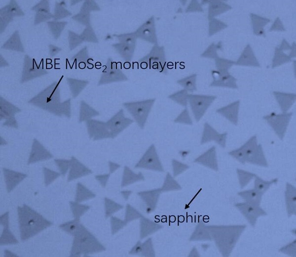 CVD-MBE-MoSe2三角形单晶