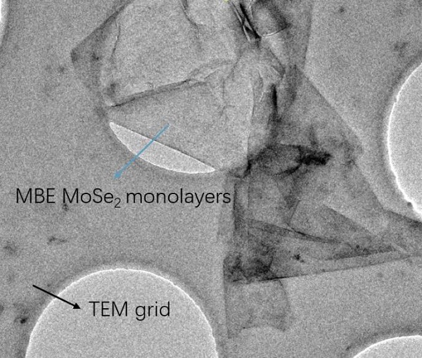 CVD-MBE-MoSe2三角形单晶