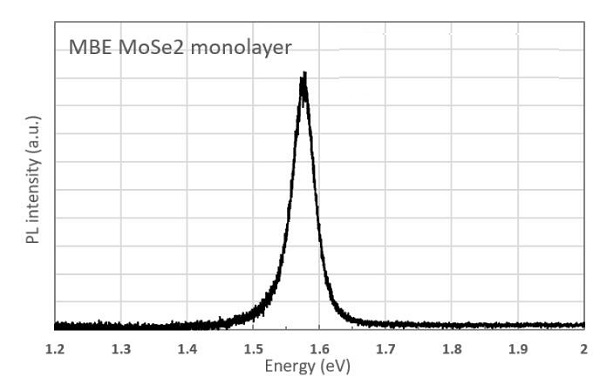CVD-MBE-MoSe2三角形单晶
