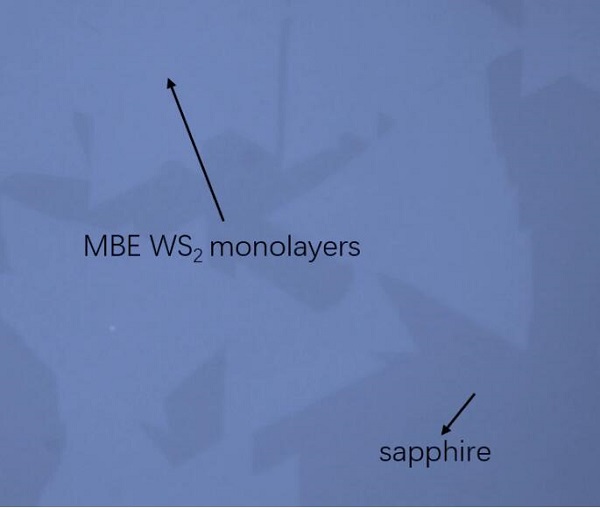 CVD生长MBE-WS2三角形单晶