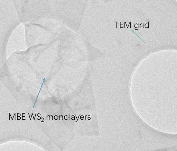 CVD生长MBE-WS2三角形单晶