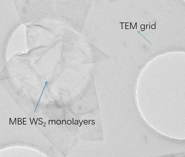 CVD生长MBE-WS2三角形单晶